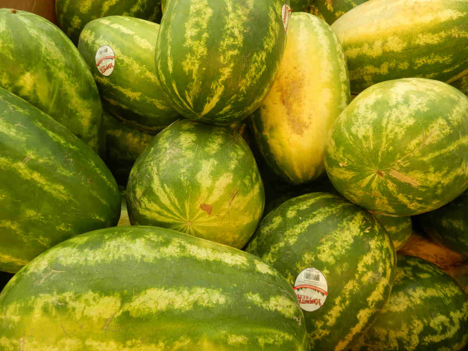 North America's largest mall plus a visit to Yellowknife ECA