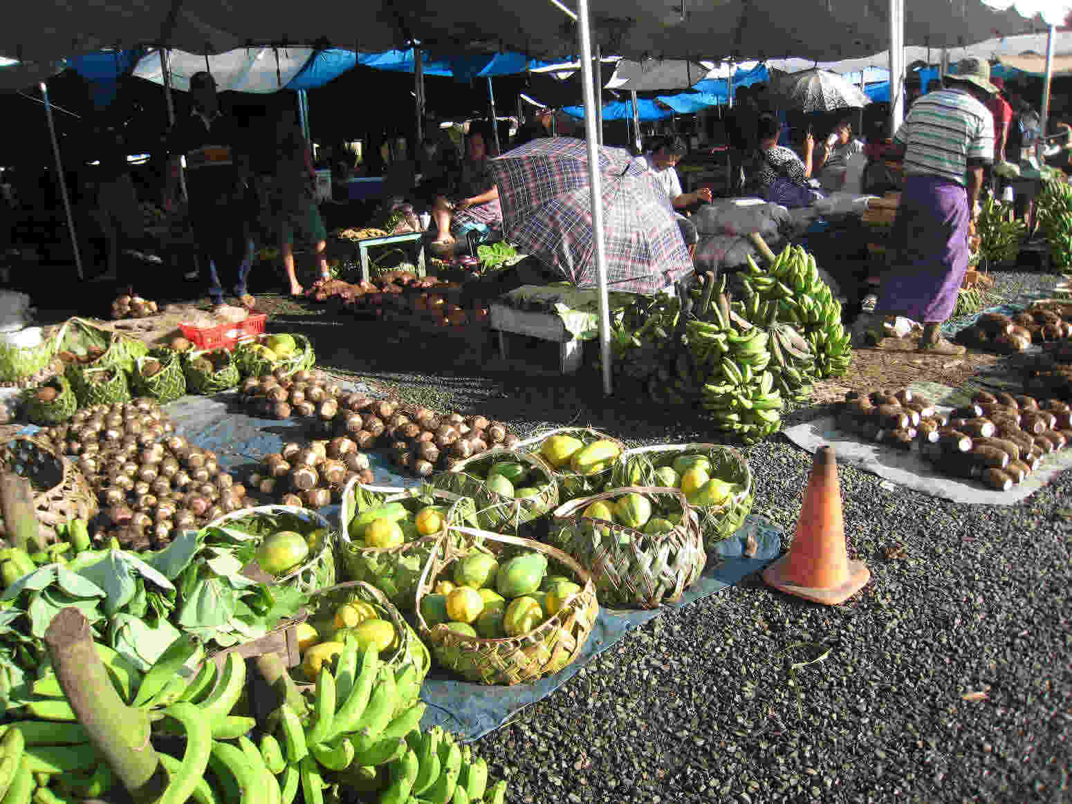 Guest blog A kilo is a kilo is a kilo the two Samoas ECA International